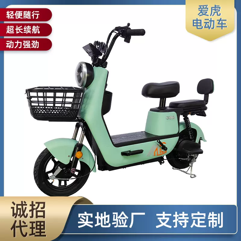 源头厂家批发外贸新国标助力电动车成人家用轻便型电瓶车锂电池