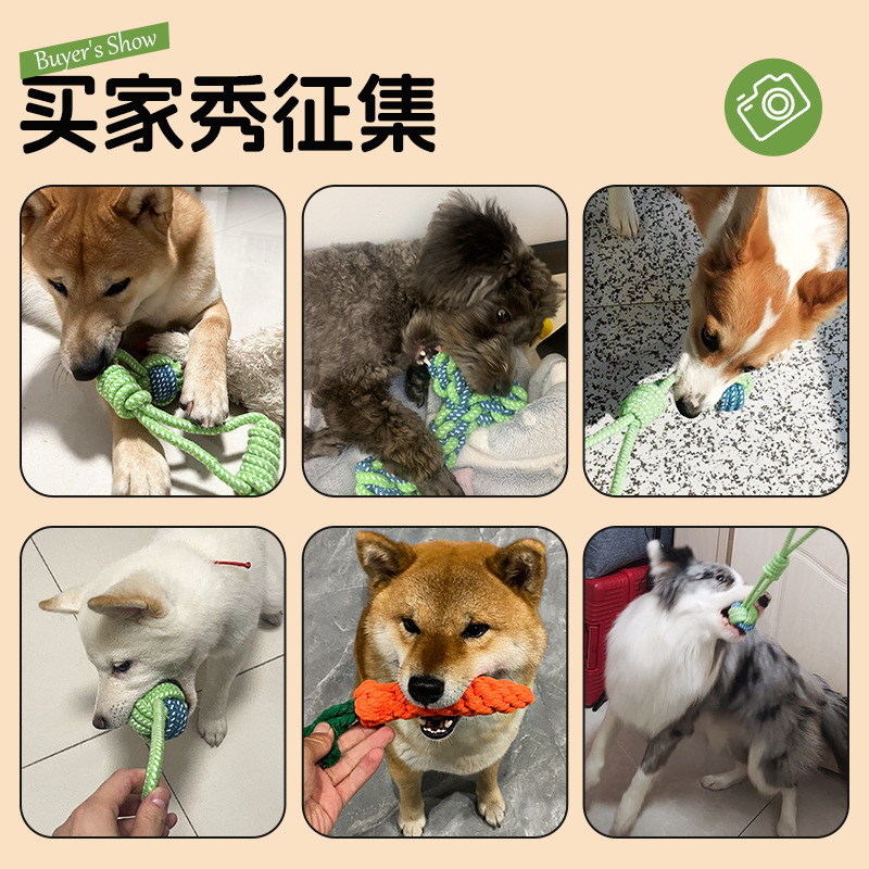 犬のおもちゃは縄をかむことに耐えます。|undefined