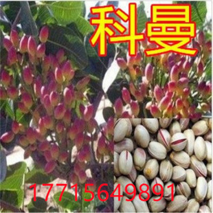 �_�Ĺ������_�Ĺ����Ե��� ����Y���޽ӹ��������� �Ϸ������Nֲ