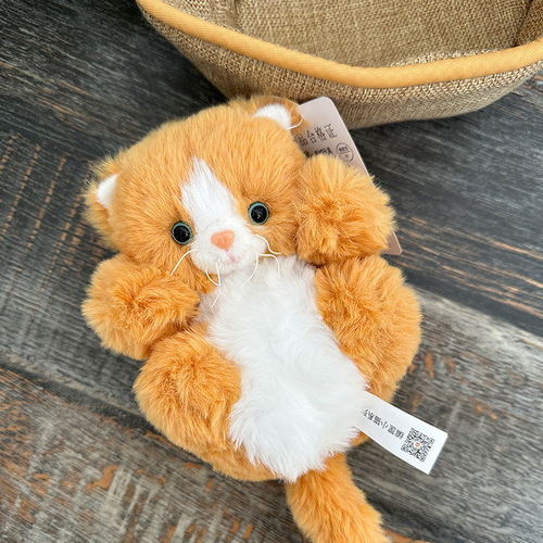 编筐小猫咪玩偶熊猫公仔毛绒玩具批发礼物女生床上可爱浣熊布娃娃