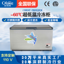 速冻柜零下60度大容量超低温冰箱冰柜商用水产冷冻柜-40度实验室