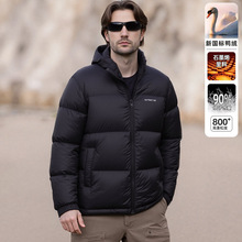 ��ʿ��q��2025�����¿�ٴ����b�Ӻ�ů�Bñ�̿��������|�z���