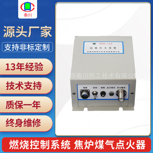 Gdq-12 Thermal Oil Furnace Ignition System Customized Combustion Control System High Energy Igniter for Coke Oven Gas