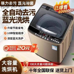 志高波轮洗衣机全自动家用6.5/8/10公斤小型租房甩干洗脱一体