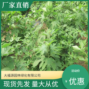 ���������l�� ���󃞻ݘ����� ���^�쾰��·�@�ֹ��̾G����