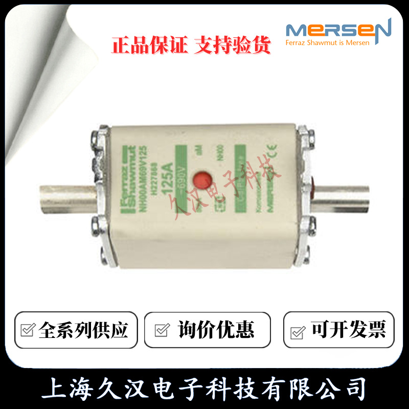 罗兰熔断器NH00AM69V125/H227868  NH00AM50V100/Y232505