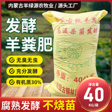 ���ɹ���S�ʷ�ĩ�S�Ҽӹ����ߴ���Nֲ���ϟo���o�x�ЙC�|30%