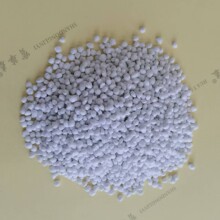 �S�ҹ��� �w���Ȼ��@ ����