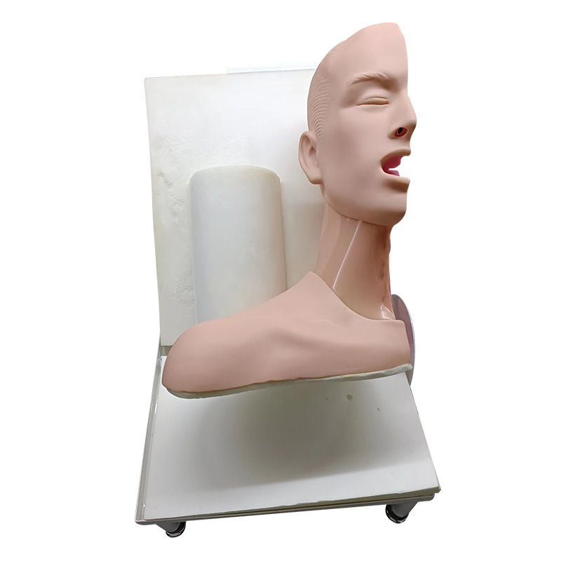 �߼����������������ʾģ�� �߼����ʻ���ģ�� �������ʻ���ģ��