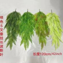 �ڒ�ާ�~���沨˹ ����羳ާ�ֲ��� ���^�Ҿӵ�픾Gֲ�b���