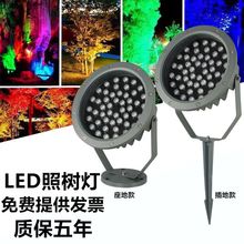 �՘�����^��������ˮ������؟���ƺ��@�־��^��Ͷ����߲�