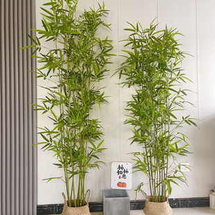 Simulated Bamboo Interior Decoration Fake Bamboo Partition Screen Retaining Wall Landscaping Outdoor Decoration Bamboo Potted Plants Encrypted Green Plants