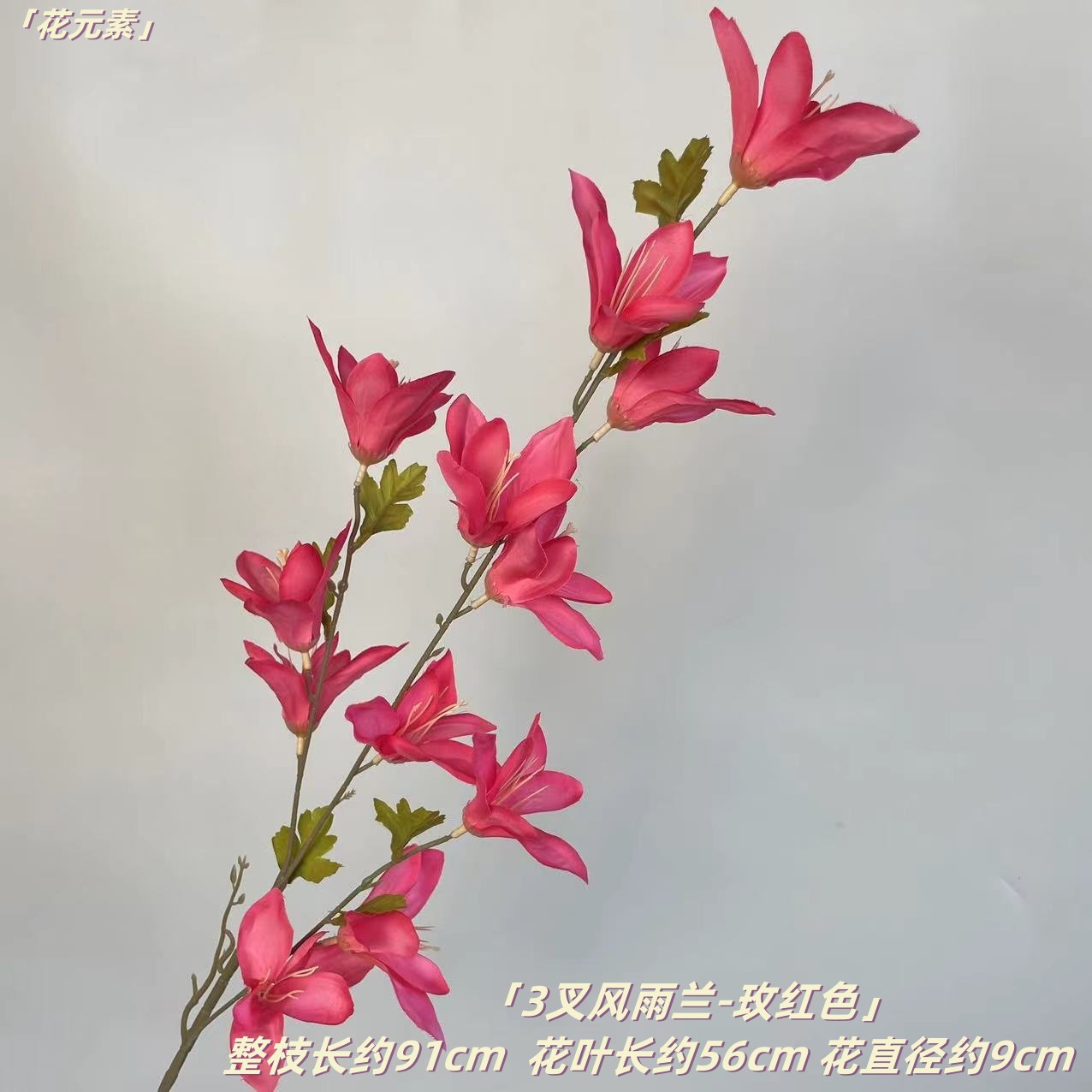 로즈 레드