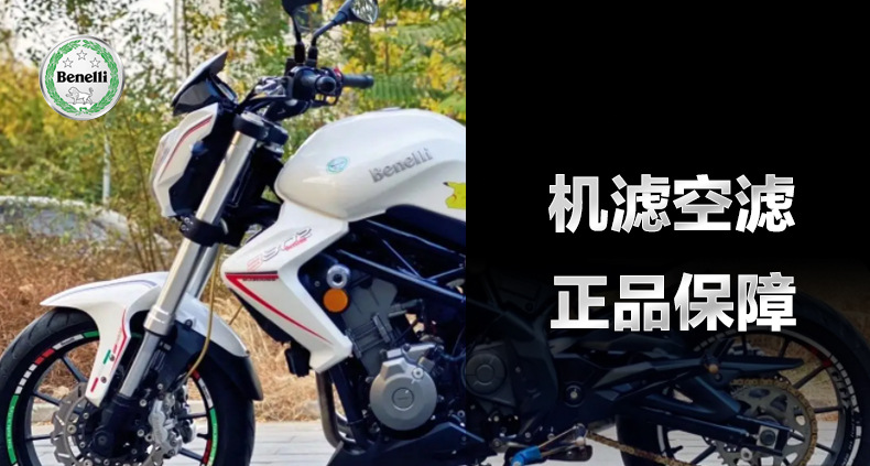 Original Genuine Benelli Lanbaolong Bn302S Huanglong 300 Air Filter Oil Filter Air Cleaner Filter