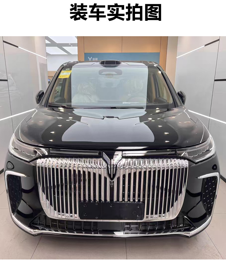 Suitable for 25 Models of Lantu Dreamer Insect-Proof Net Front Grille Water Tank Protective Cover Insect-Proof Willow Modification Accessories