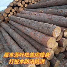 �� ���S��ֱ�۸��NҎ���ľ����ľ��ɼľ�U�߉������oȫ���l؛