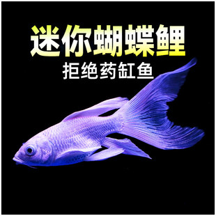 ̨����������ˮ�^�p�~С��������ˮ���������~�����Lβ�\�����w