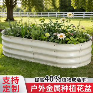 �羳�����Ƅӽ��ٷNֲ��@�ֻ��@���Nֲ��N�˴��̨��프e������