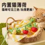 逗猫柿子小番茄逗猫棒