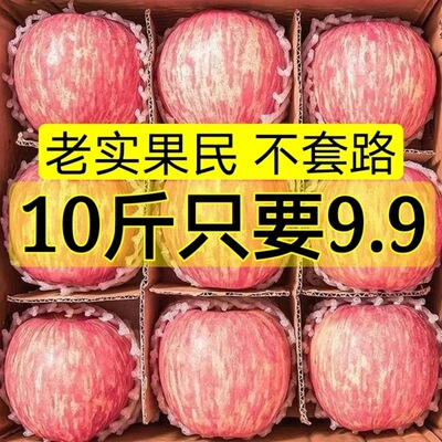 【果民批发】红富士苹果脆甜多汁当季现摘冰糖心苹果新鲜整箱包邮|ru