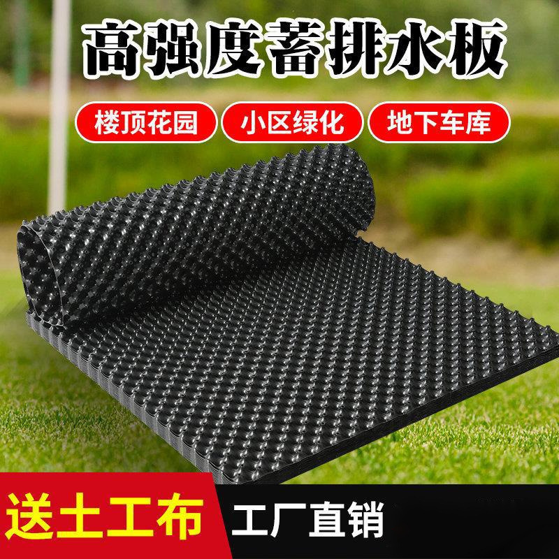 뿌리차단층 100S + 배수판폭 비고 + 천각