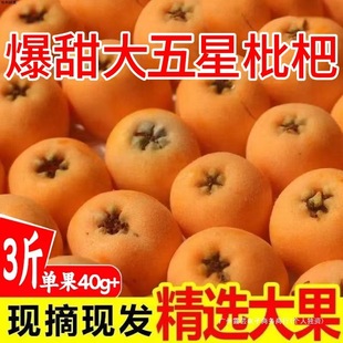枇杷鲜果新鲜当季水果大五星枇杷整箱现摘级琵琶果四川米易枇杷-阿里巴巴
