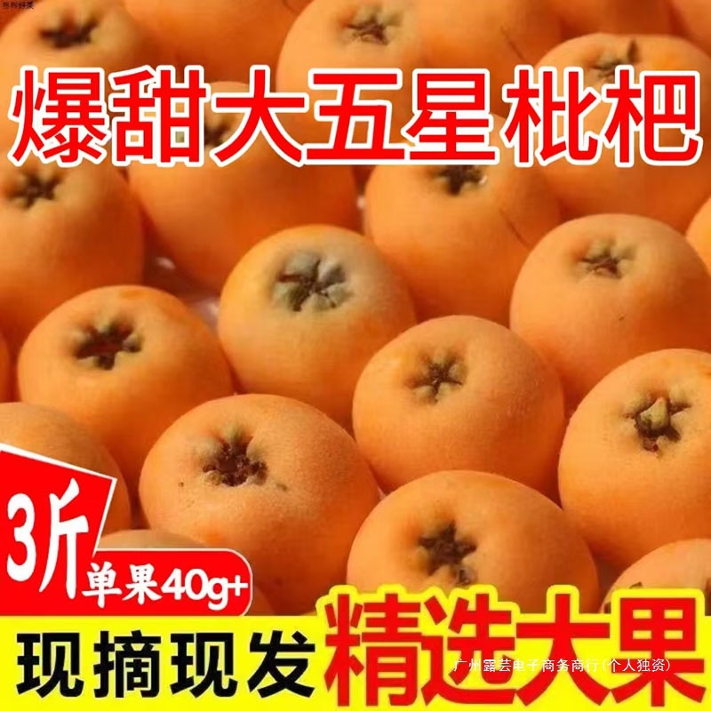 枇杷鲜果新鲜当季水果大五星枇杷整箱现摘级琵琶果四川米易枇杷