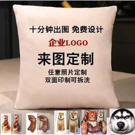 卡通异形抱枕定制logo印图片动物形状创意表情靠垫批发工厂家居