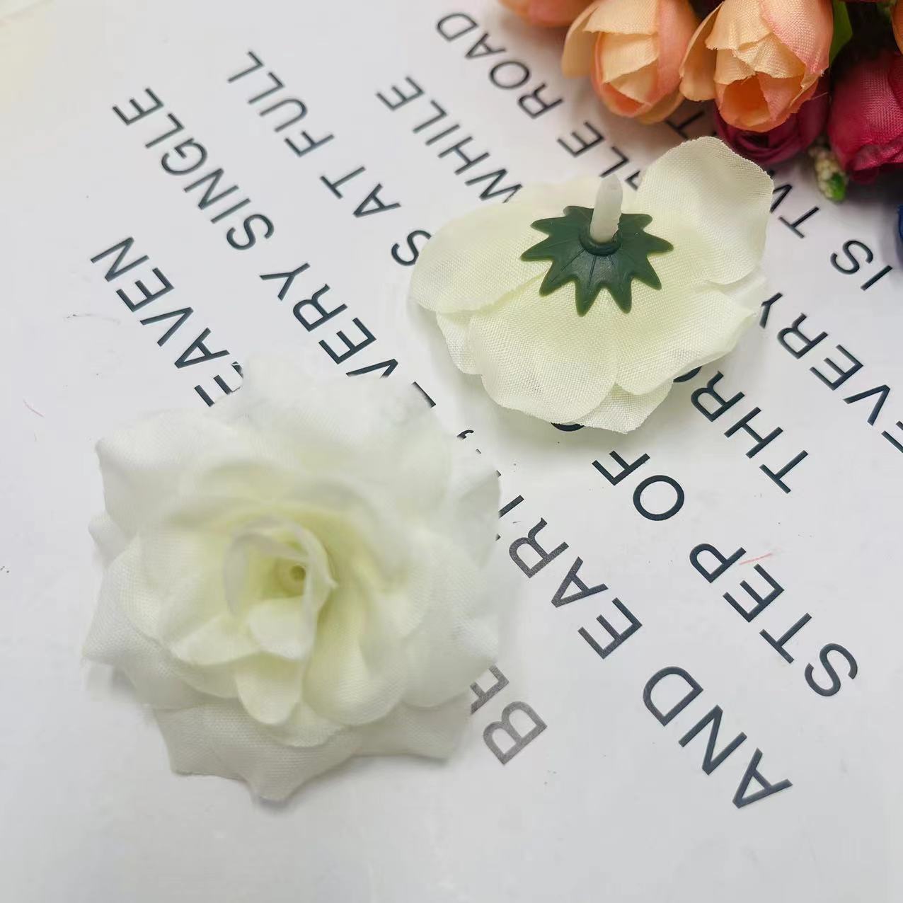 微信图片_202408161556092