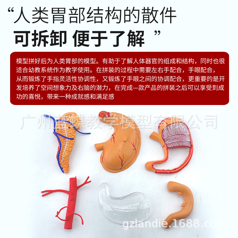 θ����ƴװģ�� �������ٽ���ģ�� �׶���������ģ��4Dθģ��