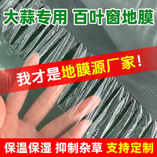 Hole-Punched Mulch Film for Growing Vegetables, Onions, Garlic, and Peppers; Special Louvered Mulch Film for Planting Vegetables, Garlic, and Onions
