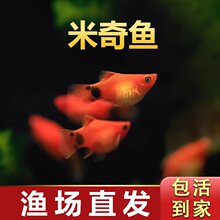 �����~̥���~�ᎧС���~���w��ȸ�~�~���^�p�~�¹��~���R�~�t�G��