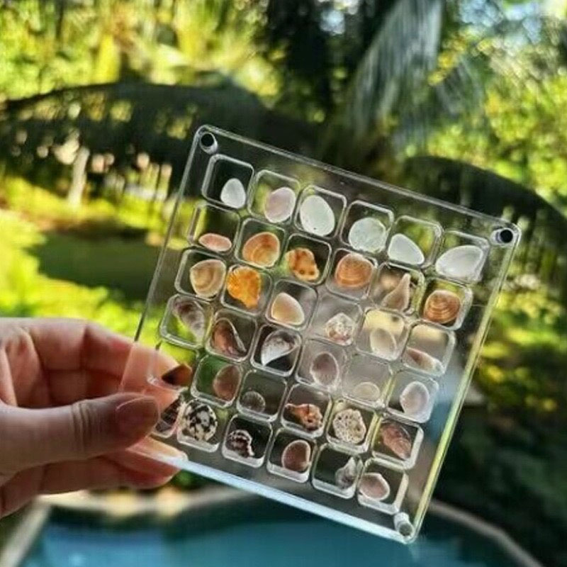跨境Acrylic Magnetic Seashel亚克力磁性贝壳展示盒收纳盒收藏盒