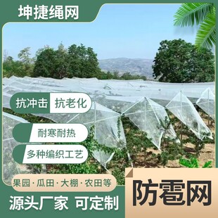 �����W���@���B�W���ѾW�r�÷��o�W����������W