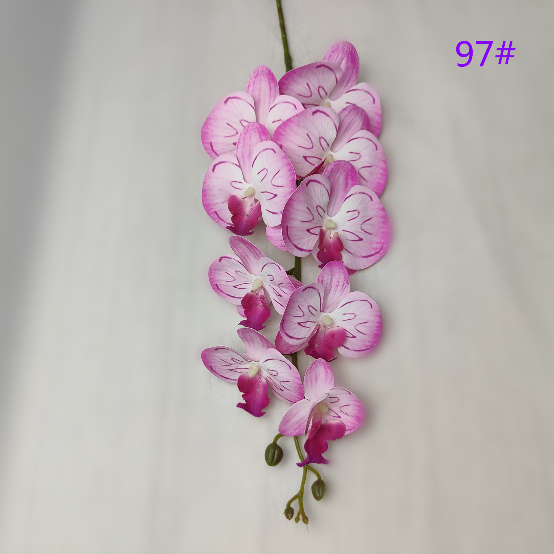 IMG20230509162458_副本