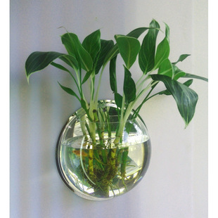 ���⻨����ƿ���������N�Ҿ��b�Ʒ�~�׻������ڒ�ʽ�͏d�͏d