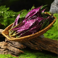 山野风火锅仿藤编配菜腐竹盘金针菇菌菇盘火锅小酥肉红糖糍粑盘子