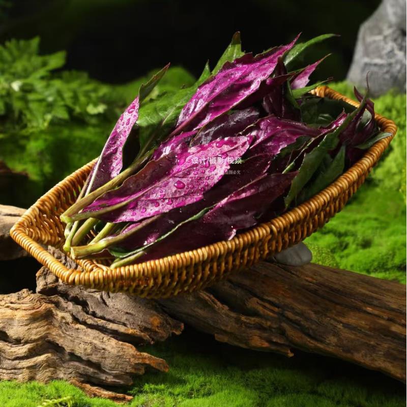 山野风火锅仿藤编配菜腐竹盘金针菇菌菇盘火锅小酥肉红糖糍粑盘子