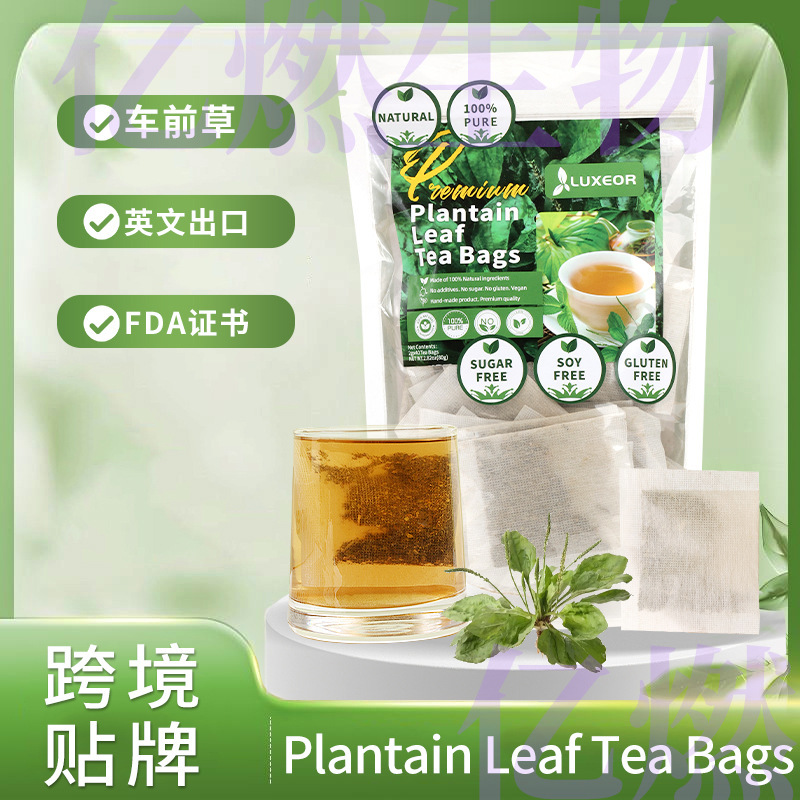 Amazon Explosions Plantain Leaf Tea Bags plantain tea bag loose leaf plantain herbal tea 60 packs
