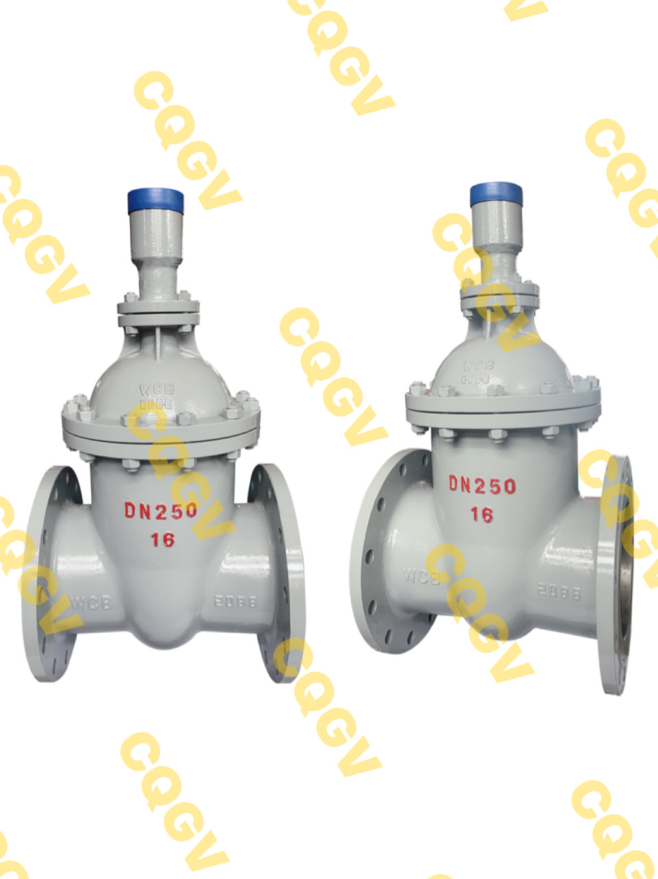 FDZ45H-10C，FDZ45H-16C，FDZ45H-25C，铸钢防盗锁闭闸阀，带钥匙