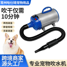 狗狗吹风机2000W&高速宠物吹风机带美容加热器速度可调送4个喷嘴