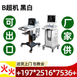 B超机价格 彩色人用医用B超机厂家价格 医用B超机器一台价格2026