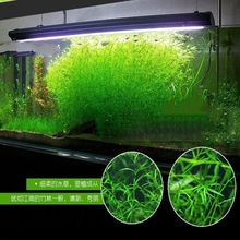 ˮ��ӡ��С�񹝲����ֺ��B�ͻ�������ˮ���~���b��쾰����