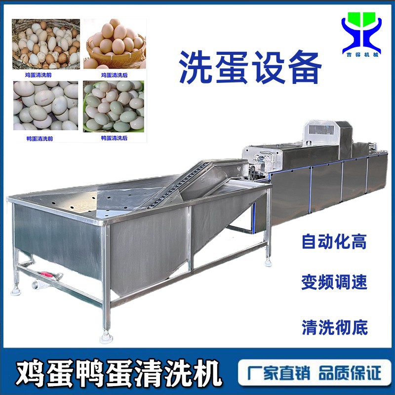 松花蛋麻酱蛋清洗设备 双排鸡鸭蛋清洗机 水箱上蛋清洗光检消毒机