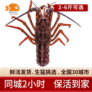 ���͝O�����r���r����������r �~�������m�M�ڳ���ֻ�r��r��
