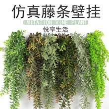 �羳���R�d����ڒ��ٗl ����Gֲ�����bٻ�����Gɫֲ���b�