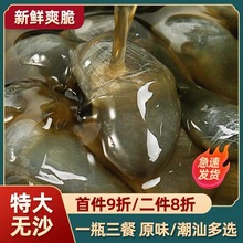 爽脆嫩6A醉泥螺王 黄泥螺醉海螺个大无沙 即食宁波腌制海鲜280g