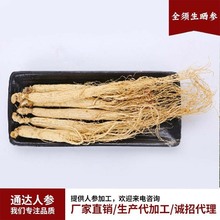 生晒参约35-36支/斤白全须厂家批发白参各种规格东北特产一件代发