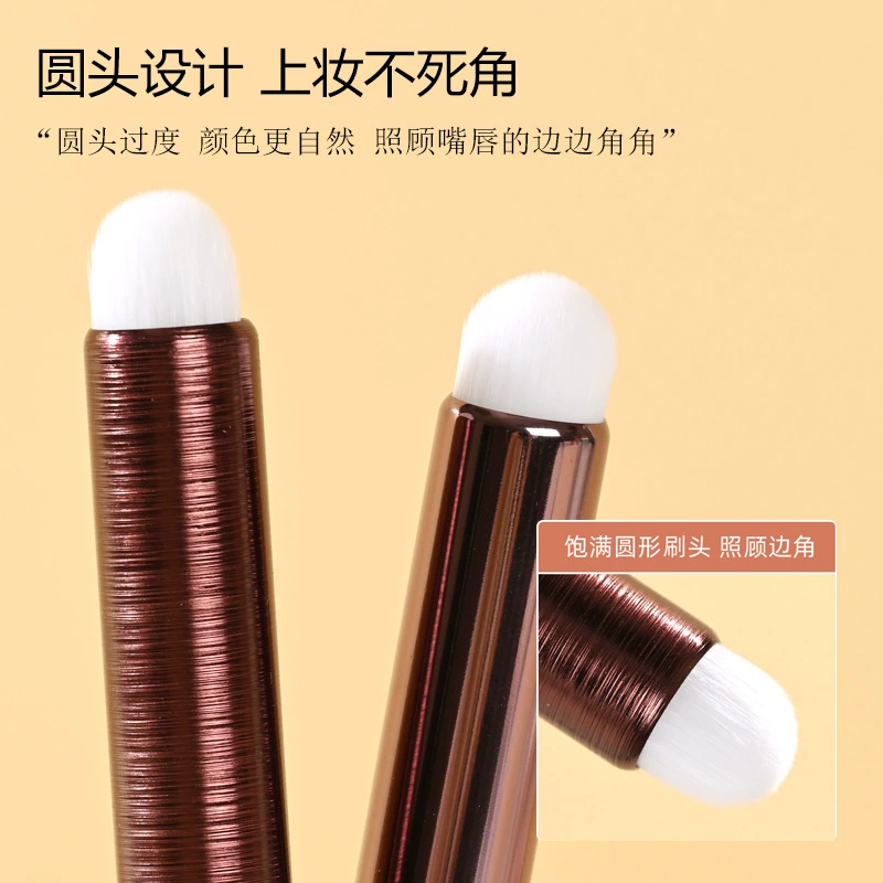 concealer brush, sponge lipstick, lip care, translucent shading