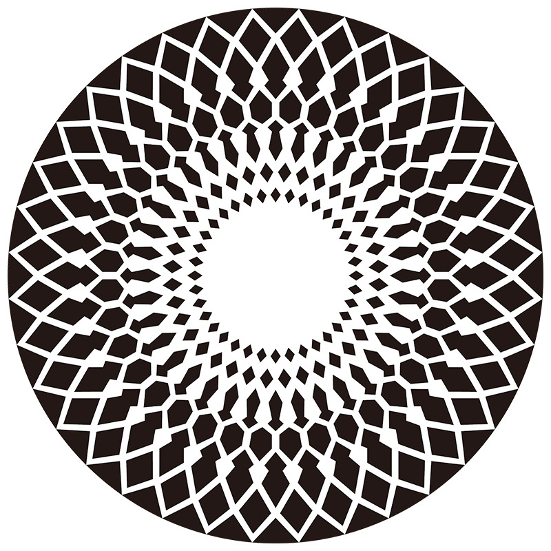 검은 새의 둥지